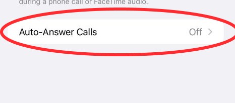 iPhone Auto Answering Call